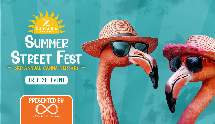 Zahara's Third Annual Summer Street Fest